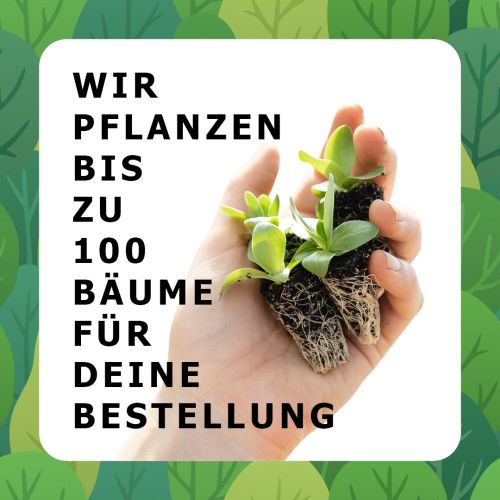 Bäume pflanzen | GreenPanda.de