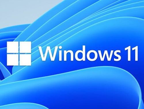 Windows 11 | GreenPanda.de