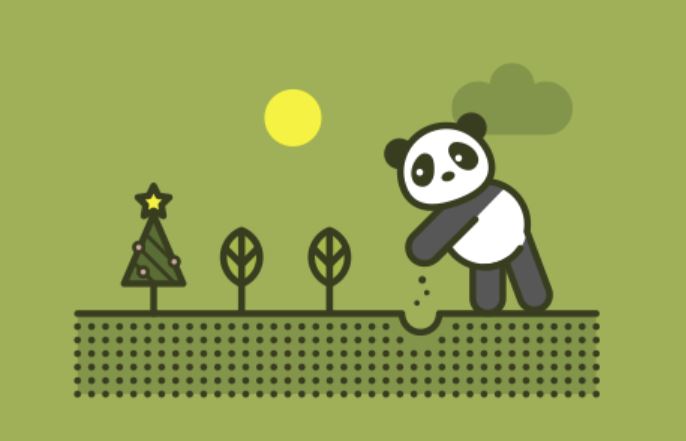 Panda pflanzt